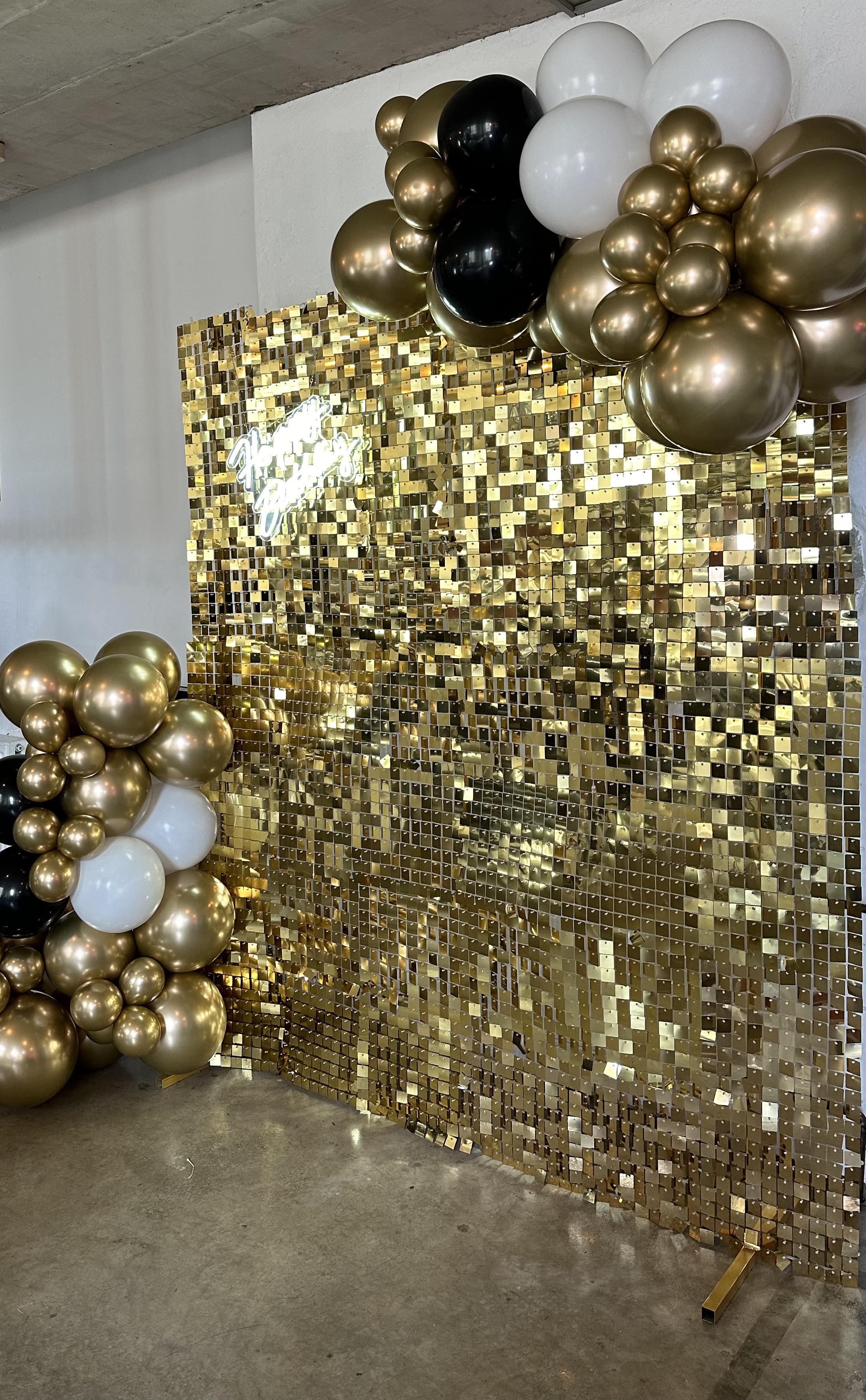 PICTURE AREAS AND BALOON GARLANDS